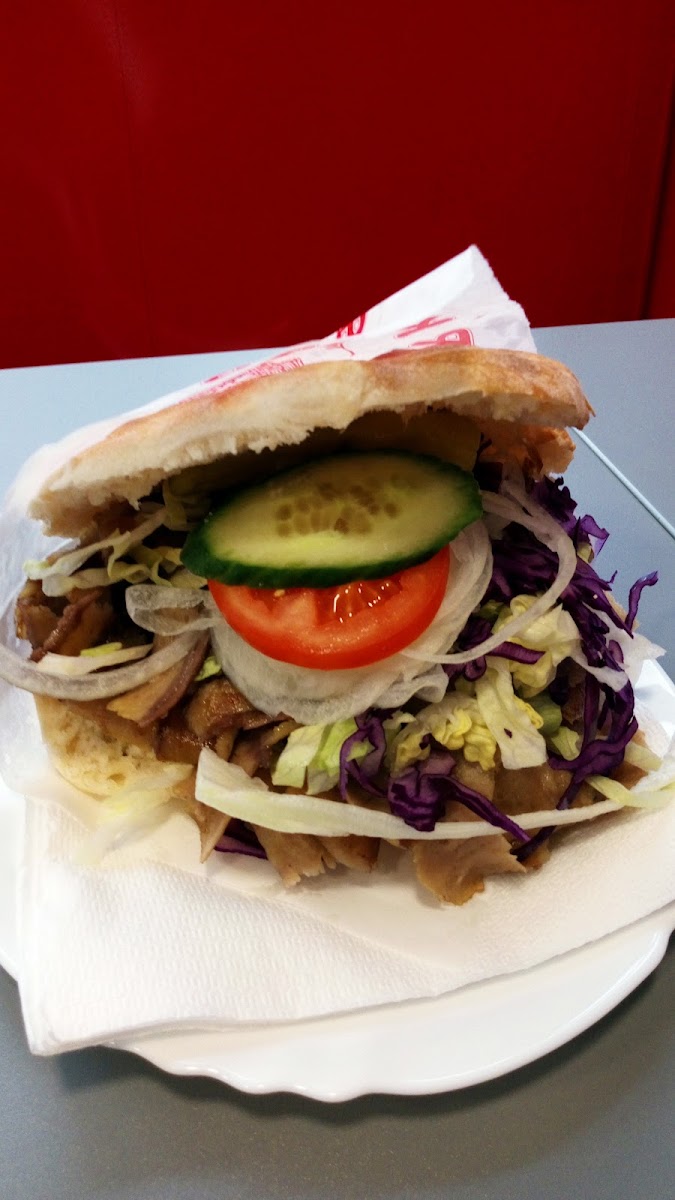 Anadolu Kebab Pizza Haus-5